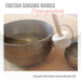 Tibetan Singing Bowls -- 7 Chakras